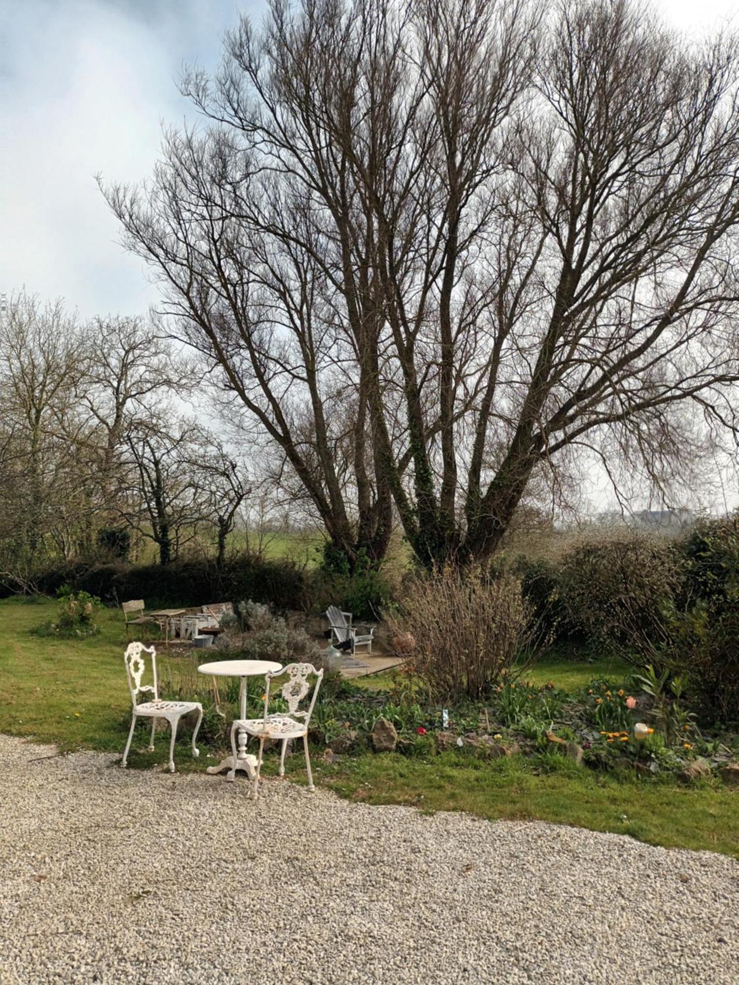 Au Domaine De Sophie Chambres D'Hotes Crasville  Exterior foto
